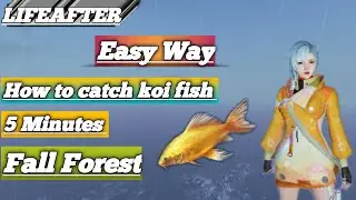 How to catch koi fish in 5 minutes | Easy way | Fall Forest | LIFEAFTER