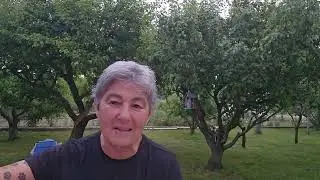 Andar descalza por el jard&iacute;n y echarle la culpa a la luna llena....