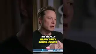 The Future of General Intelligence Centralized Server Centers vs Total Destruction