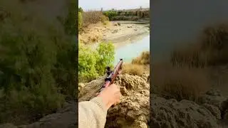 Lee enfield | old and dusty Gun short#shorts#feed