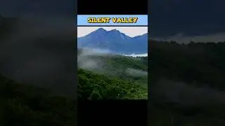 SILENT VALLEY #silentvalley || WHAT IS SILENT VALLEY #silentvalleymovement#kerala #shorts#viral
