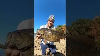 SWIMBAIT GIANT SMALLMOUTH BASS IN NEW JERSEY #fishing #bassfishing #bigfish