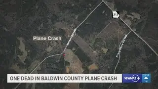 Pilot dies in Georgia plane crash alongside dog. Here's what we know