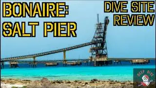 Dive Site Review: Bonaire's Salt Pier