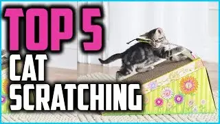 ✅ 5 Best Cat Scratching of 2024