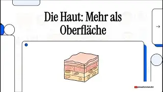 Die Haut: Mehr als Oberfl&auml;che | 𝐌𝐞𝐝𝐢𝐳𝐢𝐧 𝐞𝐢𝐧𝐟𝐚𝐜𝐡 𝐞𝐫𝐤𝐥&auml;𝐫𝐭