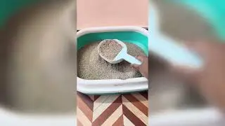 Finally Found the PERFECT Cat Litter || Best Cat Litter EVER?! ||  I Tested So Many&hellip; This One WON 