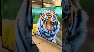 TV QLED TCL C645 50 Polegadas &Eacute; boa? #review #ebom #achados