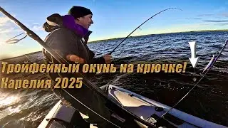 Я ТАКИХ НЕ ВИДЕЛ! Джиг, воблеры и мормышинг в Карелии! Трофейный окунь найден! #рыбалка #спиннинг