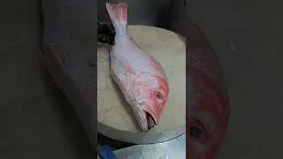 Cutting Skills Massive Queen Red Snapper Fish#shorts