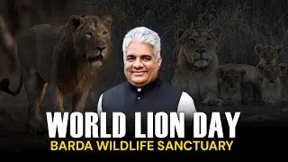 HMEFCC Addressed event to mark World Lion Day at Barda Wildlife Sanctuary