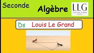 Devoir Surveillé Louis Le Grand Seconde (LLG) - Mise en équation-les fourmis