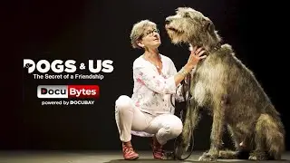 Dogs and Us | The Secret of a Timeless Friendship | DocuBytes