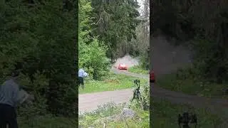 Rally #rallySM #rallycar #rally #car #race #rajd