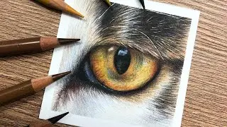 REAL TIME Cat Eye Tutorial | Tabby Fur Coloured Pencil Tutorial