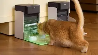 PETLIBRO RFID Automatic Cat Feeder 🐱📡 | Collar Tag Activated, Multiple Cats, Custom Diets