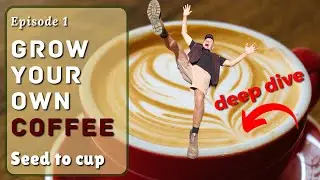 How to Grow Coffee at Home: Step 1 (Seed to Cup Series)
