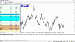 аналитик дал сигнал первый торговый сигнал NZD/CHF Начал торговать с midasglobe