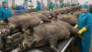 Inside a Wild Boar Processing Facility: From Farm to Premium Smoked Pork (Full Production Process)