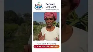 Transform Your Fields with Senzara Life Care, Innovative solutions for multi-crop success.