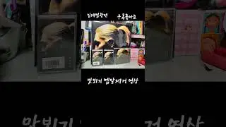 맛보기 엠알제거 영상(#임재범#shortvideo#좋아요#yimjaebeum#mrremoved#kpop#shortsfeed#shorts#구독#seven#7집#홀로핀아이#korea)