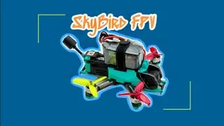 Sub250 2.5inch FPV / Nomad ELRS Gemini 2.4G TX / Gemini RX / 03 / Goggle 3 / Outside of NFZ