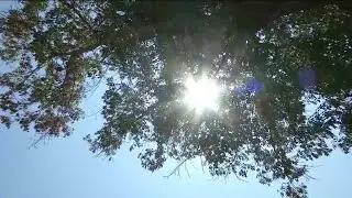 Southwest US bakes in first heat wave of season earlier than usual