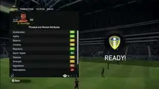 PINK STURRIDGE PLAYER REVIEW - FIFA 15