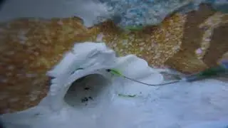 Main Drain Leak Fixed in Davie, FL  | Patched w/ 5-Minute Hardener & Epoxy  + Leakalyzer Verified