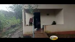 PASSAMOS NUMA REGIÃO E DE LA FOMOS PRA CASA DO PATONHO E A CAMISA NA COR SAMBORÁ