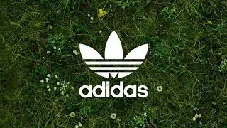 Sneaker CAGE | adidas Originals Clean Classics - Stan Smith