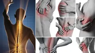 Devaluation: Biological Meaning | German New Medicine