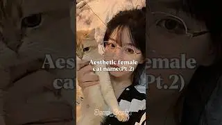 Cute Aesthetic cat names🤍☄️(Plz_Subscribe)#viralshort #aestheticmusic #paro #spedup #fypシ゚viral