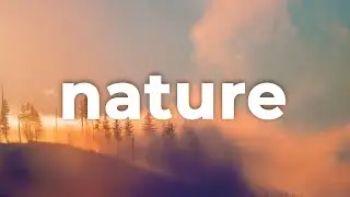 🌳 Nature & Background (Free Music) - 