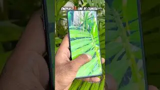oneplus camera quality 😲 ! oneplus camera test ! oneplus 9 pink line on screen #shorts #shortvideo