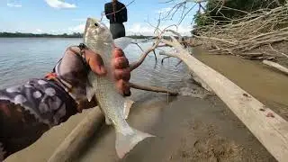 Pequeña pesca en Río guaviare 