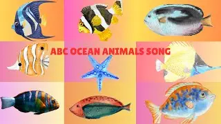 ABC Sea Animals Names |Learn Ocean Animal Names | Fun Learning Song for Kids #animalsound#cocomelon