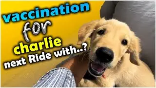 Next Ride with charlie ..? | vaccination for dog how.? | charlie