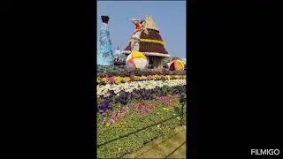 Ahemdabad international flower show 2026 #garden#flowers#nature#love#vlogs#fun#diy#shorts