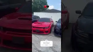 Red or Black widebody scat pack charger #scatpack #392 #charger #dodge #mopar #v8 #americanmuscle