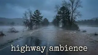 You Won't Believe How Bad Washington Flooding Is | ASMR Rain Sounds