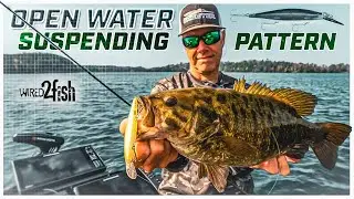 Jerkbaits for Open Water Bass with Forward-Facing Sonar