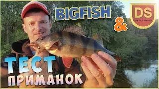 Ловля крупного окуня на спиннинг в бесклевье. Тест приманок ДНИПРО СВИНЕЦ
