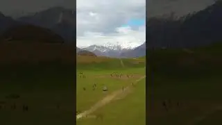 Qaqlasht Meadows | Upper Chitral 🇵🇰