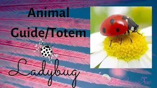 LADYBUG Animal Totem/Guide
