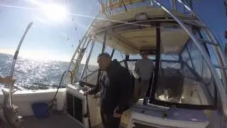 REEL FUN
