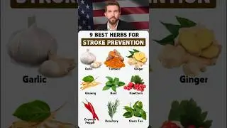 Best Herbs for Stroke Prevention | Natural Remedies