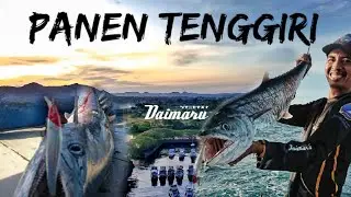 TROLLING || Panen Tenggiri Pakai Daimaru Lure Shuffle Flip & Vargas Pulau Sangiang