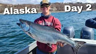 Catching Big King Salmon And Giant Halibut While Fishing In Alaska