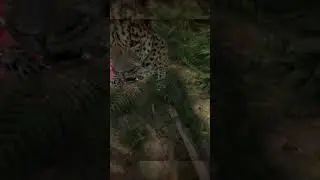 Green Hell PROVING me WRONG With JAGUAR Attack